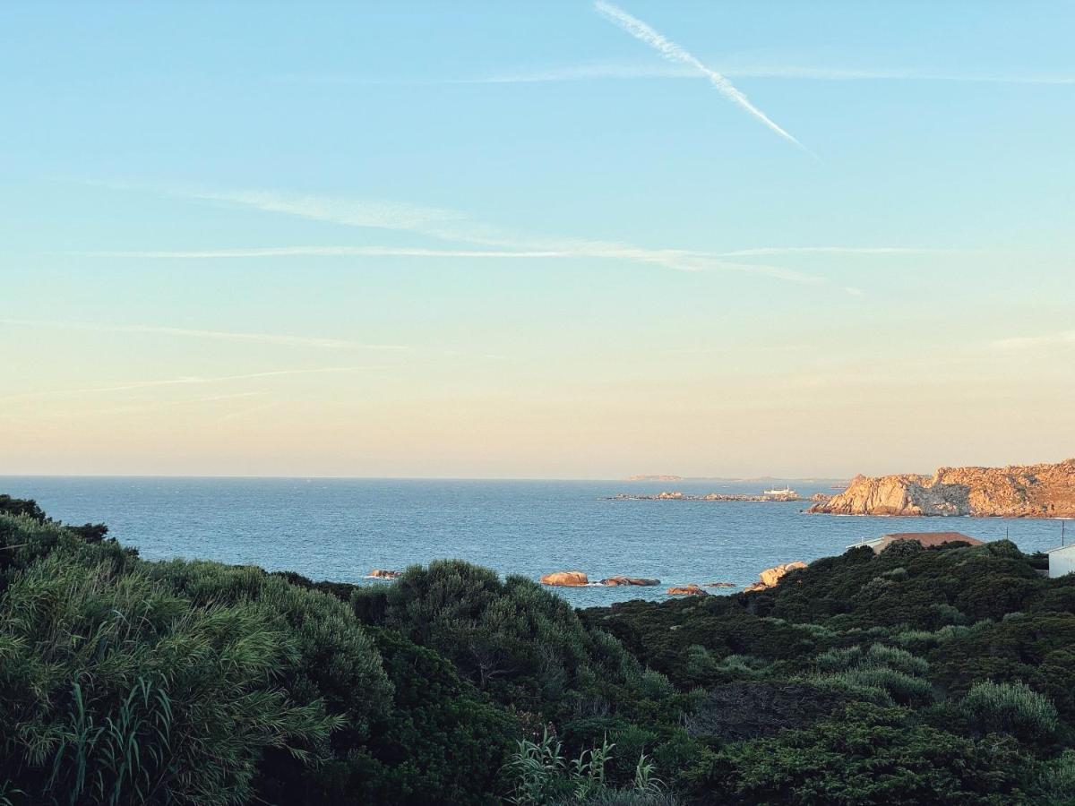 Appartamenti Del Conte Di Capo Testa Santa Teresa Gallura Eksteriør billede